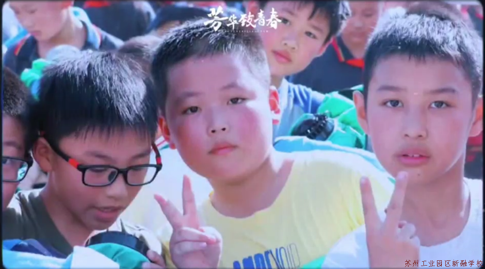 4f12c38dcd3d4bc5ad69b999b267430d.Png