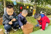 播撒绿色希望，共绘成长画卷——记翰林幼儿园植树节活动